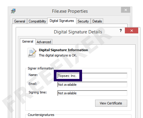 Screenshot of the Topsec Inc. certificate